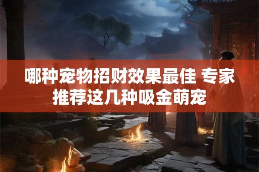 哪种宠物招财效果最佳 专家推荐这几种吸金萌宠