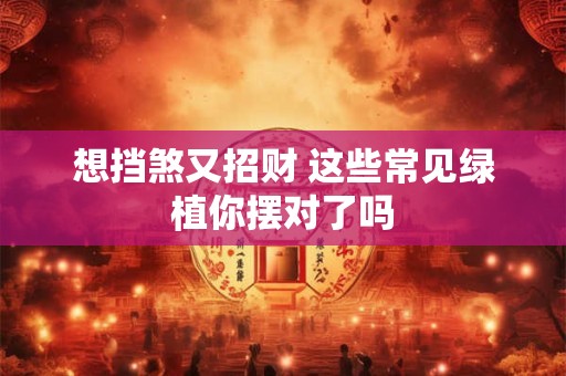 想挡煞又招财 这些常见绿植你摆对了吗