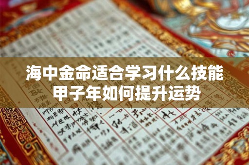 海中金命适合学习什么技能 甲子年如何提升运势