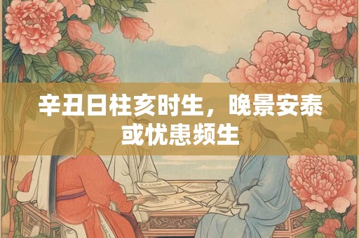 辛丑日柱亥时生，晚景安泰或忧患频生