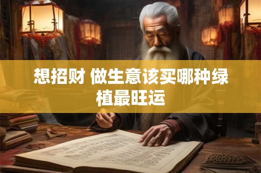 想招财 做生意该买哪种绿植最旺运