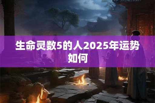 生命灵数5的人2025年运势如何