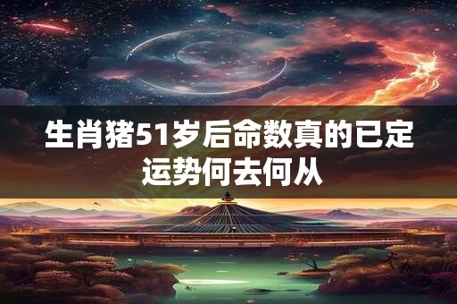 生肖猪51岁后命数真的已定 运势何去何从
