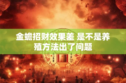 金蟾招财效果差 是不是养殖方法出了问题