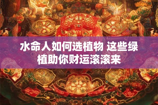 水命人如何选植物 这些绿植助你财运滚滚来