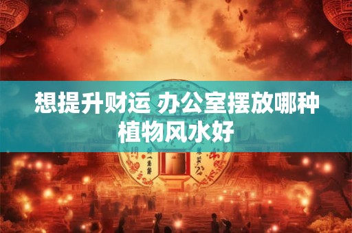 想提升财运 办公室摆放哪种植物风水好