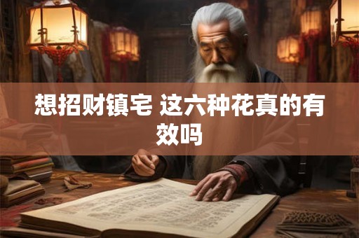 想招财镇宅 这六种花真的有效吗