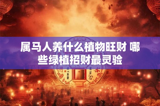 详细阅读:属马人养什么植物旺财 哪些绿植招财最灵验 属马人养什么植物旺财 哪些绿植招财最灵验