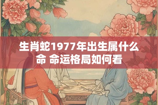生肖蛇1977年出生属什么命 命运格局如何看