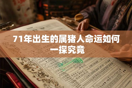 71年出生的属猪人命运如何 一探究竟