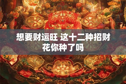 想要财运旺 这十二种招财花你种了吗