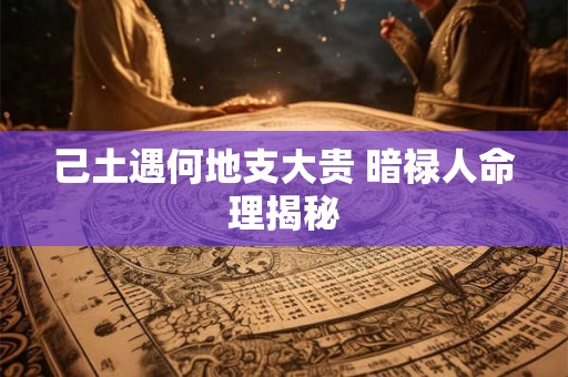 己土遇何地支大贵 暗禄人命理揭秘