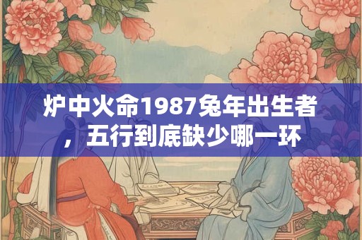 炉中火命1987兔年出生者，五行到底缺少哪一环