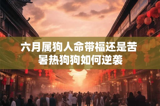 六月属狗人命带福还是苦 暑热狗狗如何逆袭