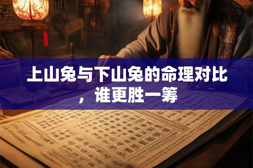 上山兔与下山兔的命理对比，谁更胜一筹