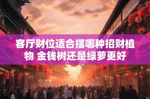 客厅财位适合摆哪种招财植物 金钱树还是绿萝更好