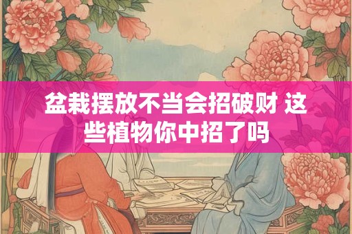 盆栽摆放不当会招破财 这些植物你中招了吗