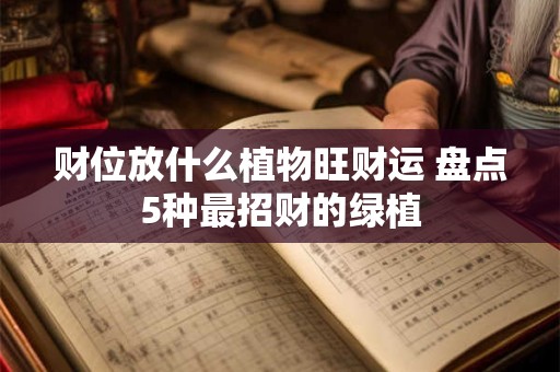 财位放什么植物旺财运 盘点5种最招财的绿植