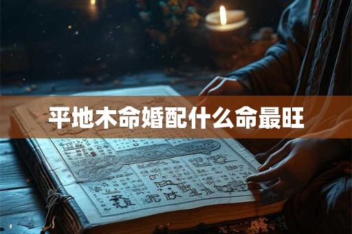 平地木命婚配什么命最旺