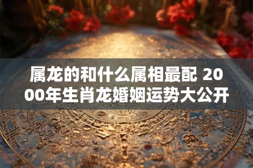属龙的和什么属相最配 2000年生肖龙婚姻运势大公开