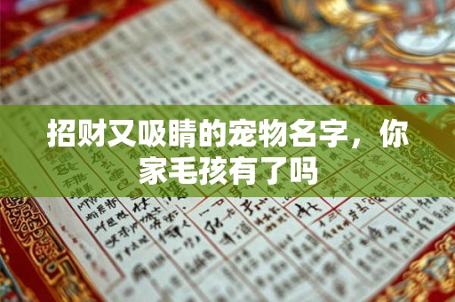 招财又吸睛的宠物名字，你家毛孩有了吗