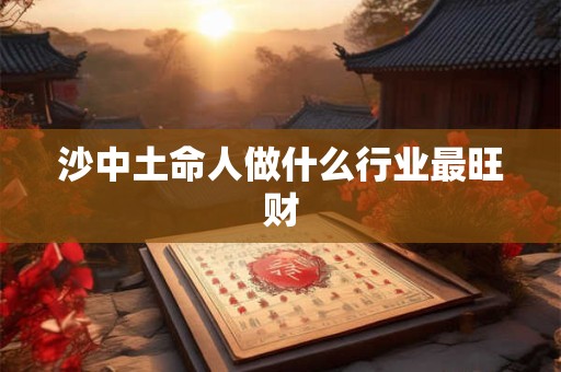 沙中土命人做什么行业最旺财