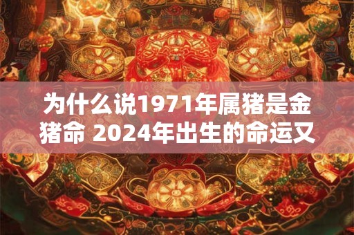 为什么说1971年属猪是金猪命 2024年出生的命运又如何