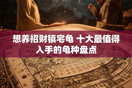 想养招财镇宅龟 十大最值得入手的龟种盘点