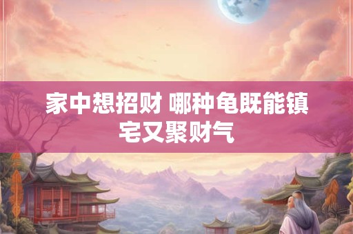 家中想招财 哪种龟既能镇宅又聚财气 家中想招财 哪种龟既能镇宅又聚财气