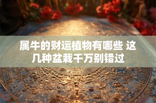 属牛的财运植物有哪些 这几种盆栽千万别错过