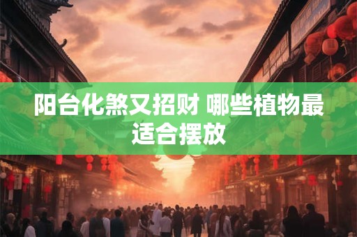 阳台化煞又招财 哪些植物最适合摆放