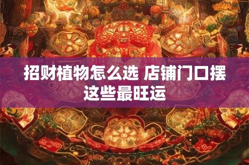 招财植物怎么选 店铺门口摆这些最旺运