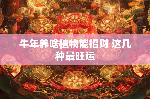 牛年养啥植物能招财 这几种最旺运