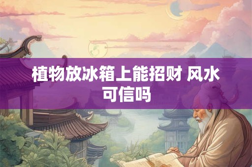 植物放冰箱上能招财 风水可信吗