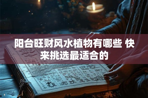 阳台旺财风水植物有哪些 快来挑选最适合的