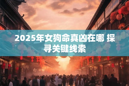 2025年女狗命真凶在哪 探寻关键线索