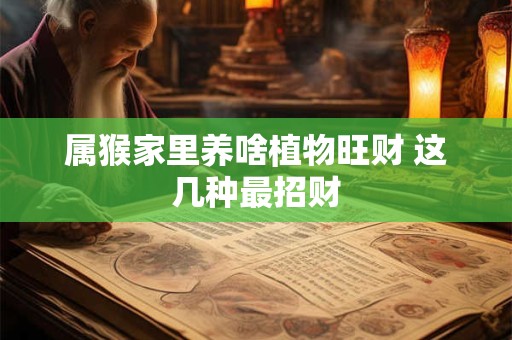 属猴家里养啥植物旺财 这几种最招财