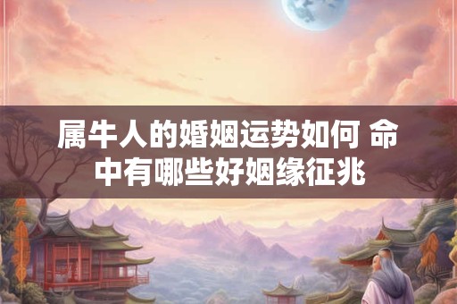 属牛人的婚姻运势如何 命中有哪些好姻缘征兆