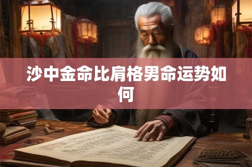 沙中金命比肩格男命运势如何