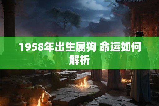 1958年出生属狗 命运如何解析