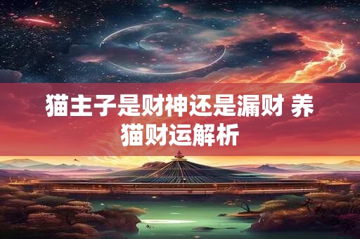 猫主子是财神还是漏财 养猫财运解析