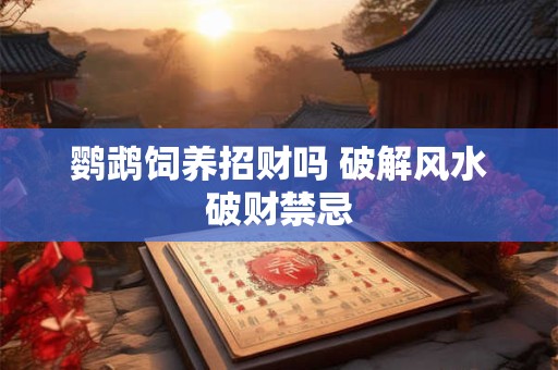 鹦鹉饲养招财吗 破解风水破财禁忌