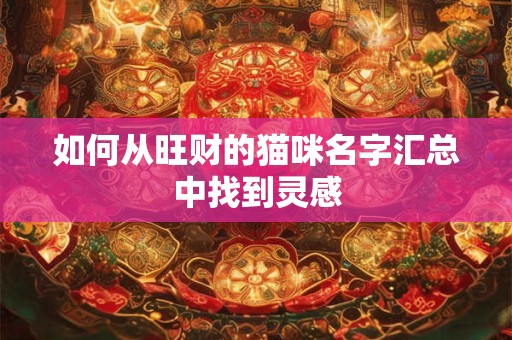 如何从旺财的猫咪名字汇总中找到灵感