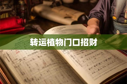 转运植物门口招财