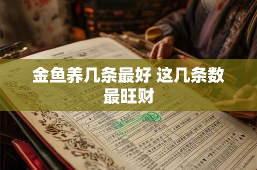 金鱼养几条最好 这几条数最旺财