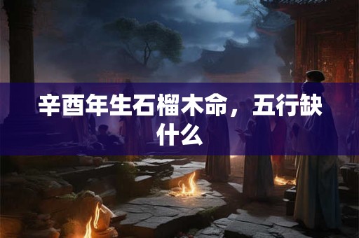 辛酉年生石榴木命，五行缺什么