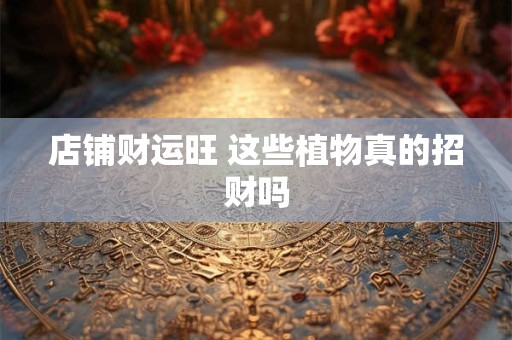 店铺财运旺 这些植物真的招财吗