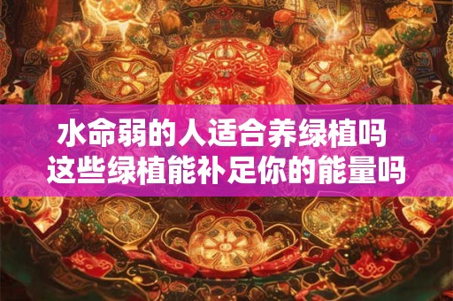 水命弱的人适合养绿植吗 这些绿植能补足你的能量吗