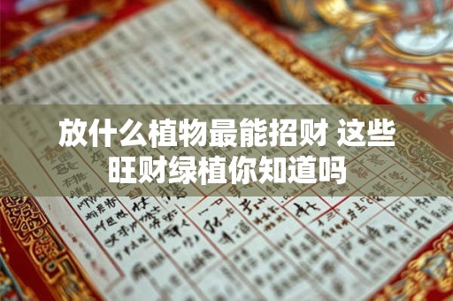 放什么植物最能招财 这些旺财绿植你知道吗