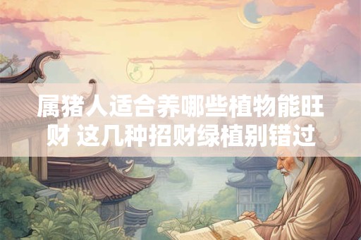 属猪人适合养哪些植物能旺财 这几种招财绿植别错过